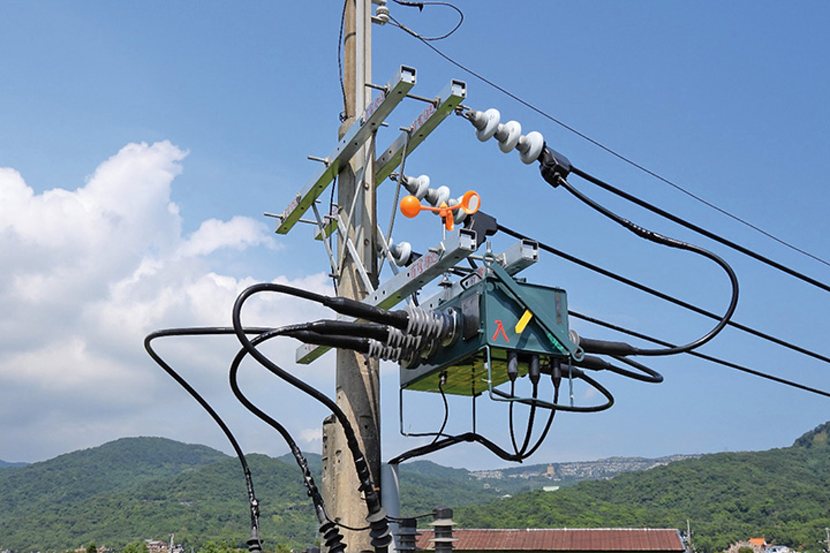 春天鳥築巢、松鼠甩尾就停電！ 台電第一線人員現身說法：鳥事怎麼防？ 