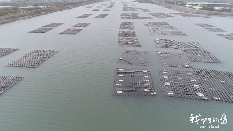 蚵難怎麼解？ 保麗龍浮具替代的可能性