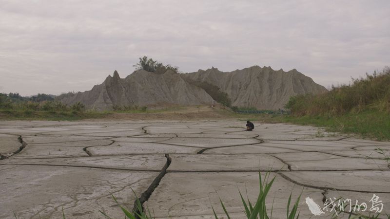 惡地生機 一窺攝影鏡頭下的龍崎