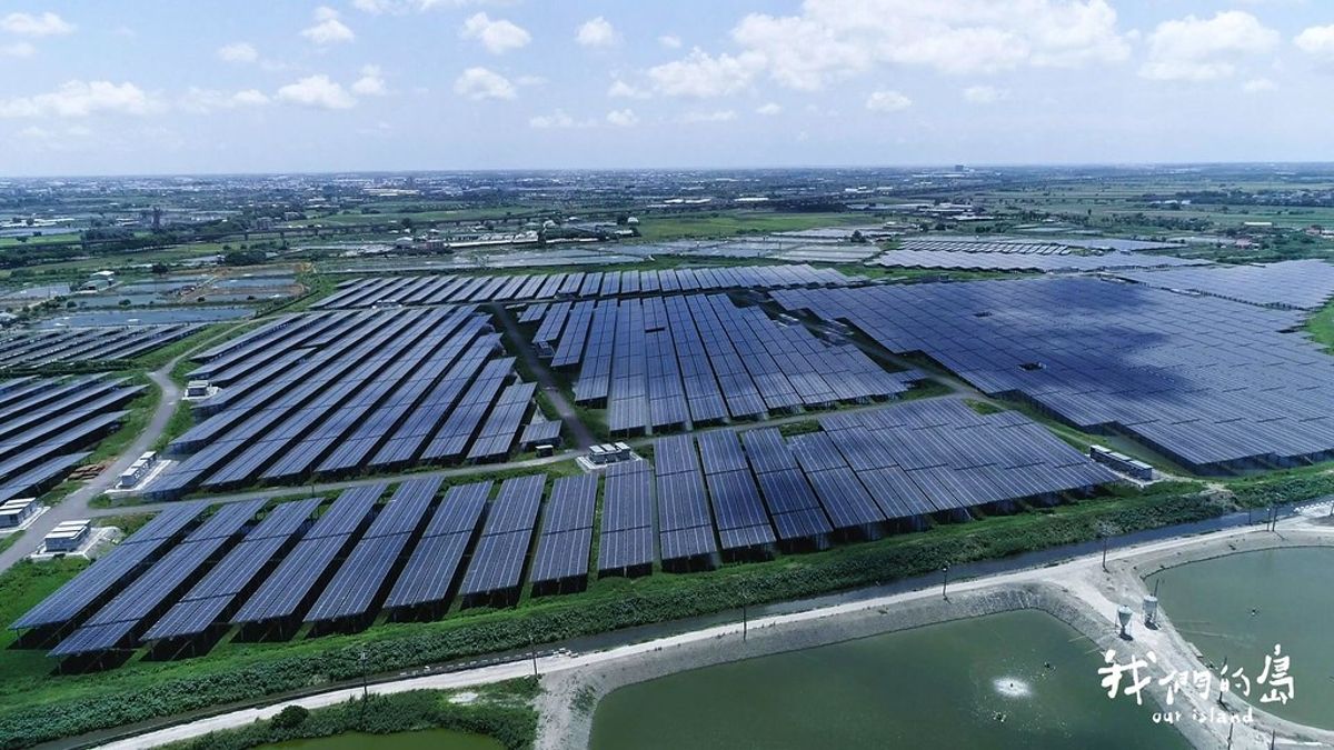 《漁電大浪來襲》之二：漁與電如何共生？