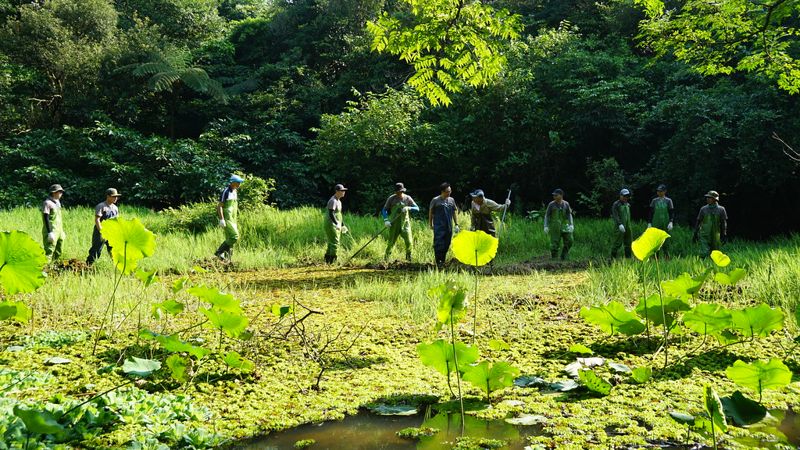 原本競爭激烈，為了生物多樣性彼此合作 日本企業讓保育成為主流