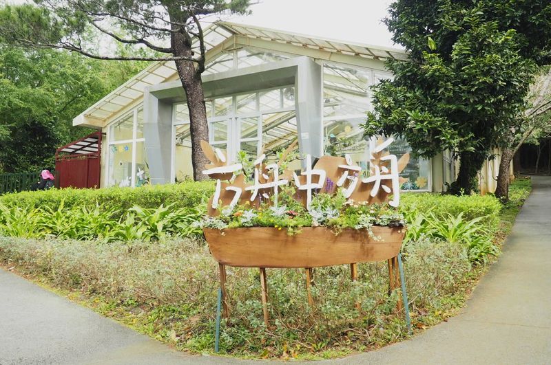 到墾丁「開森眼」 屏東林管處重塑品牌 首推熱帶珍稀植物展