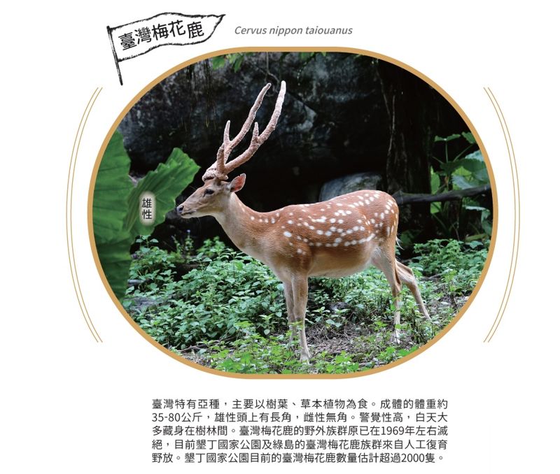 《動物大日子》世界野生動物保育日從何而來？