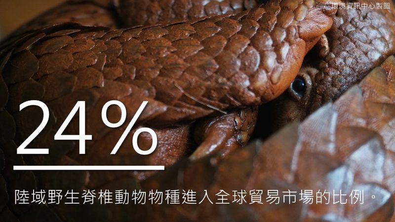 21項科學數據 聯合國報告示警：維護生物多樣性、逃離瘟疫世代