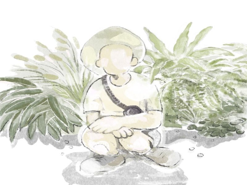 沒看到你，我很抱歉