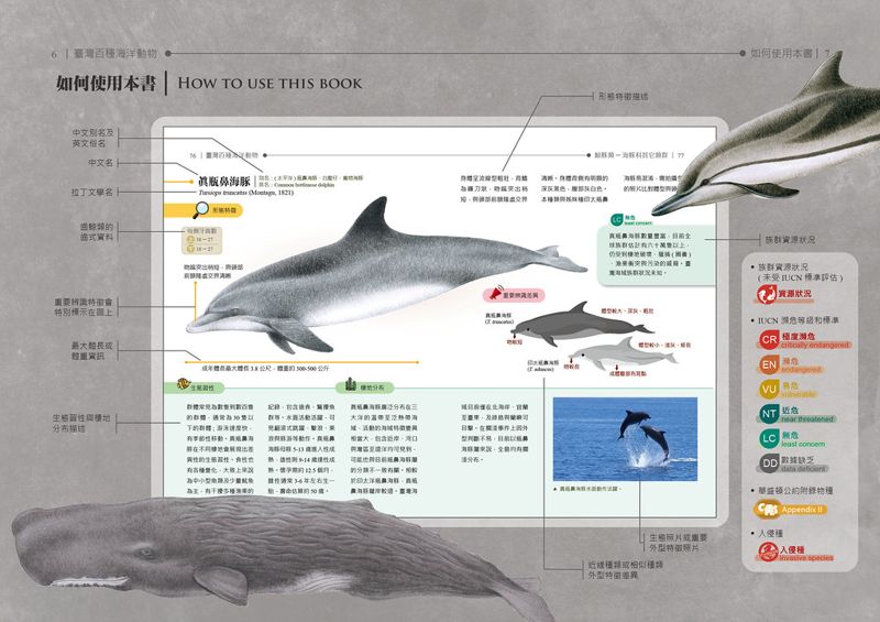 認識海洋生物的入門磚：《台灣百種海洋動物》圖鑑上市