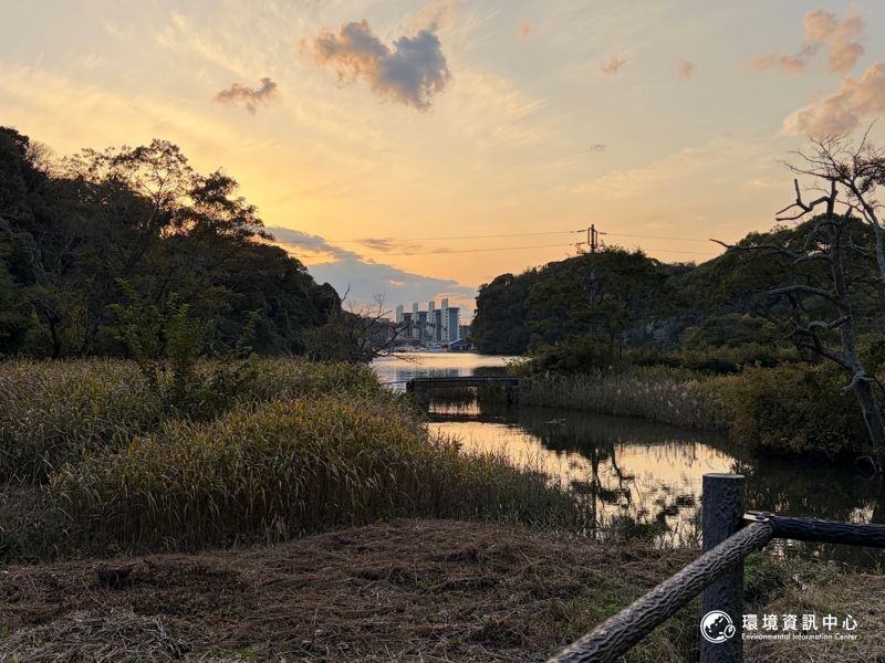 擋下高爾夫球場，卻「完全沒有吵架」——小網代之森的流域守護故事