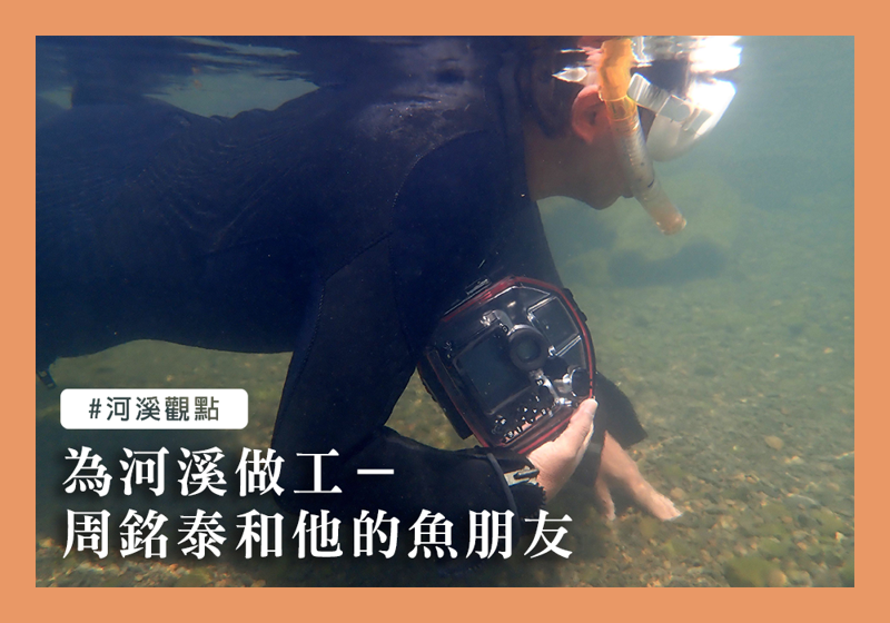 為河溪做工——周銘泰和他的魚朋友