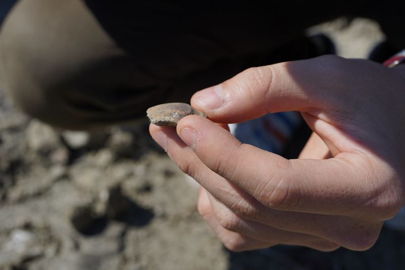 從台灣魚類耳石化石研究 談海洋生物多樣性的變動與困境