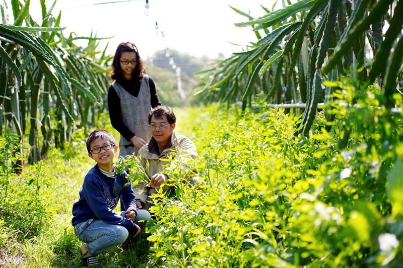 田間的食農生態課：找回孩子與土地的連結
