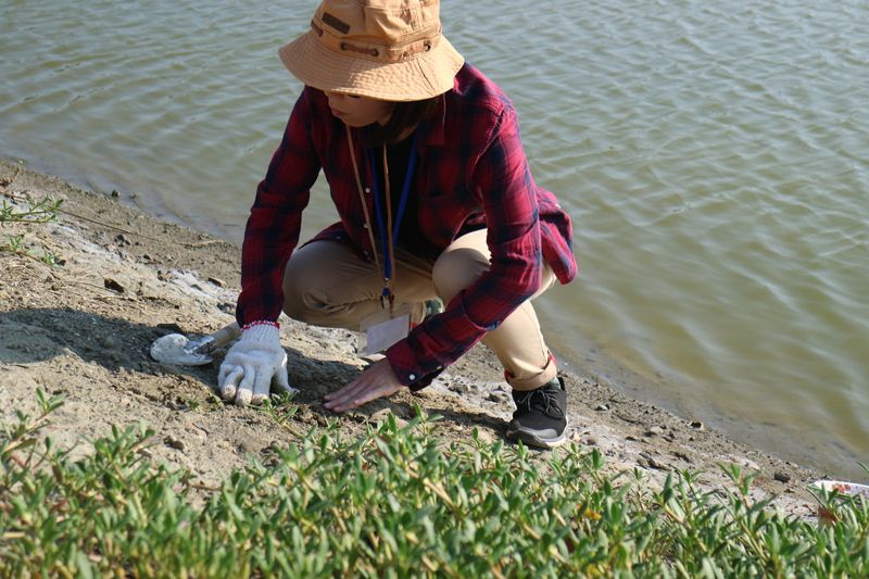 嘉南鹽海好風光 Timberland身體力行護環境