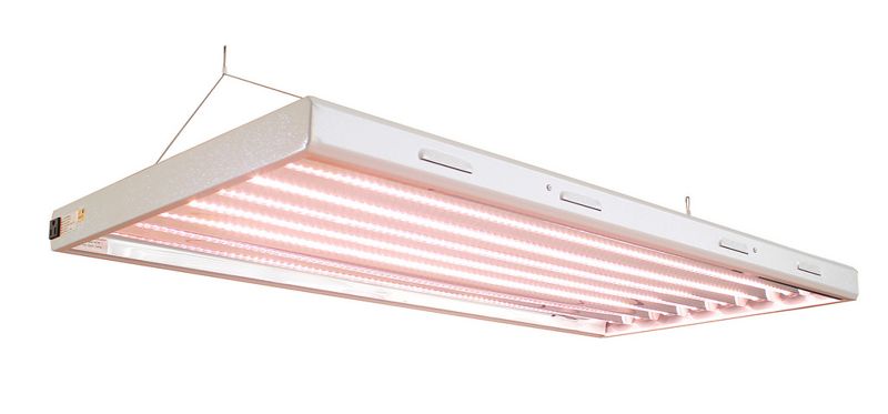 方慶榮：深澳電廠無其他取代方案？