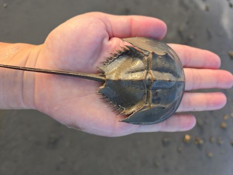 縮圖