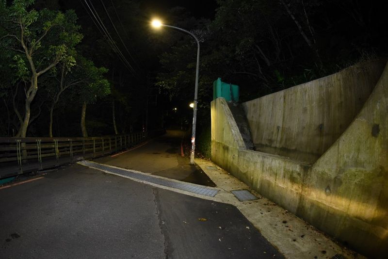 土城桐花公園生態廊道 驚見台灣紫嘯鶇身影