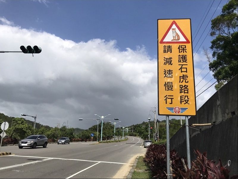 保育石虎! 台13甲造橋段夜間降速3月正式實行