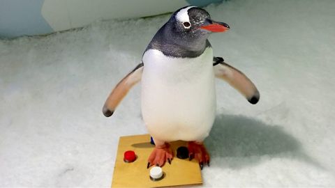 縮圖