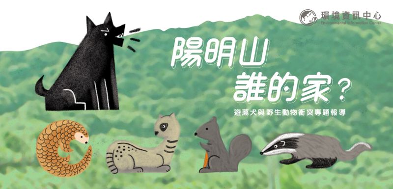 陽明山，誰的家？ 遊蕩犬與野生動物衝突專題報導