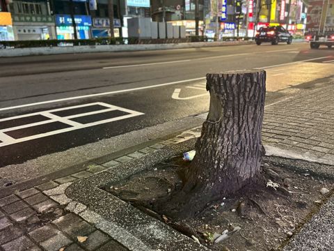 縮圖