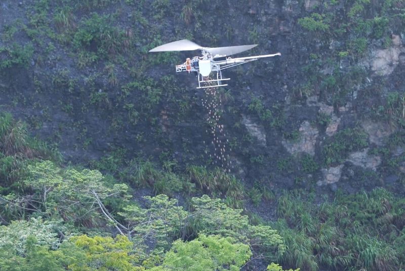集水區崩塌地造林 借重無人機新科技 但空投外來草籽惹議