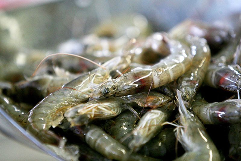 環保年菜聰明選 年年有「魚」不浪費