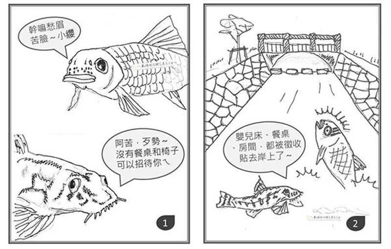 當家徒四壁：看似符合生態卻是破壞的「砌石護岸」