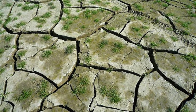暖化2°C引發「乾燥化」 1/4以上陸地野火增加