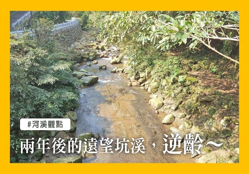 兩年後的遠望坑溪，逆齡重現綠意