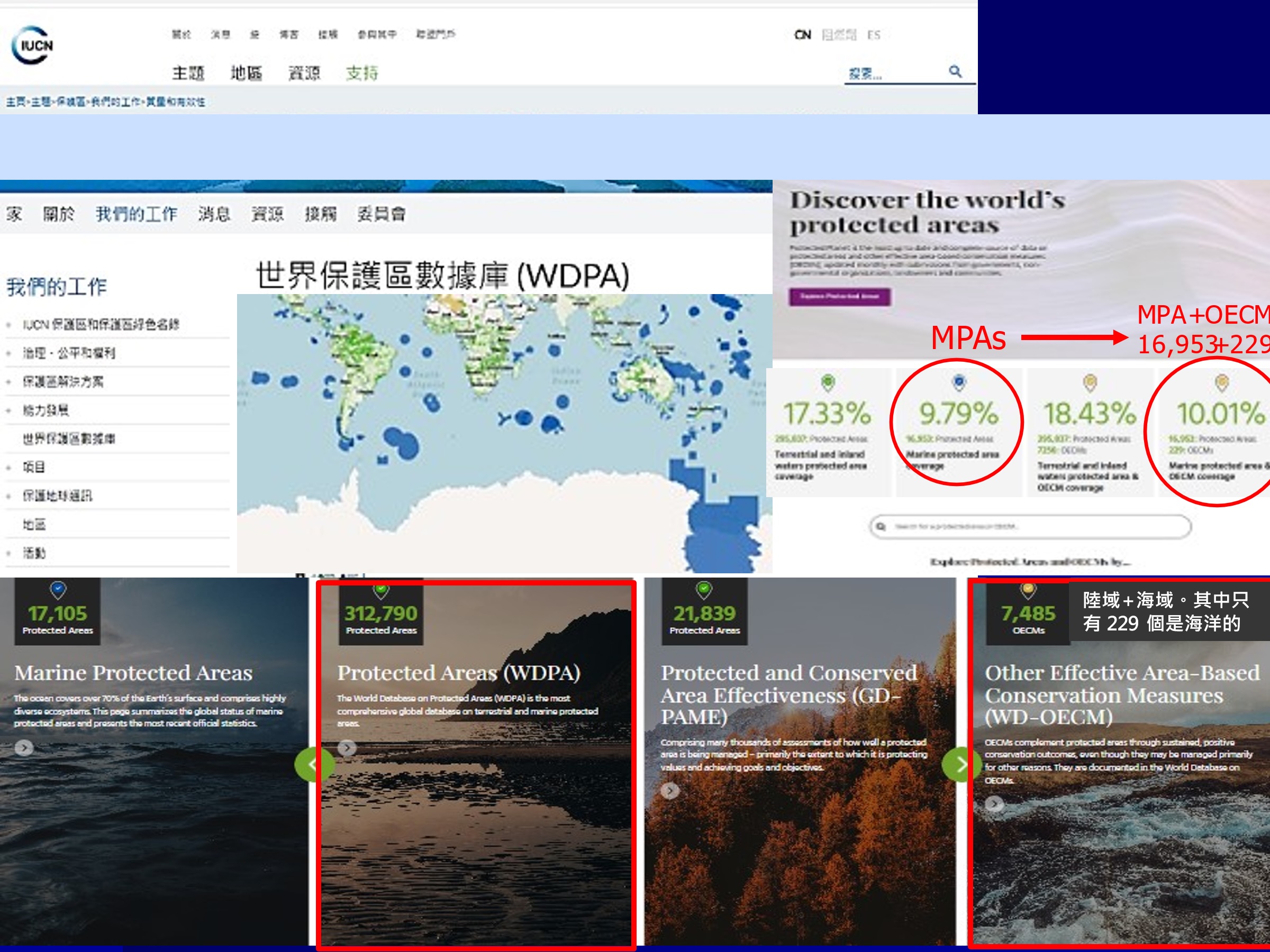 至2026年3月止,全球海洋保護區(MPA+OECM)的數目和面積比。2024年4月已達成2020年底全球10%海洋為MPAs的目標。資料來源:世界保護區資料庫。