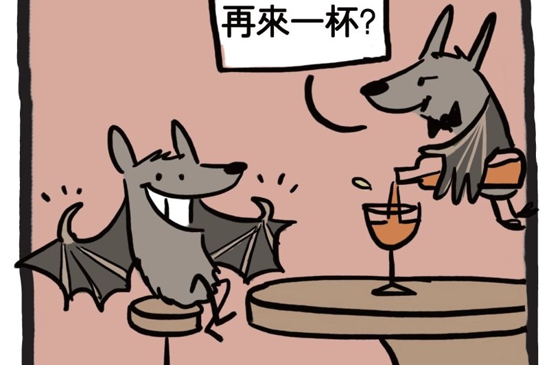 蝙蝠永遠在比讚？ 《蝠聲入世》特展攜手印度漫畫家 讓牠們走進大眾視野