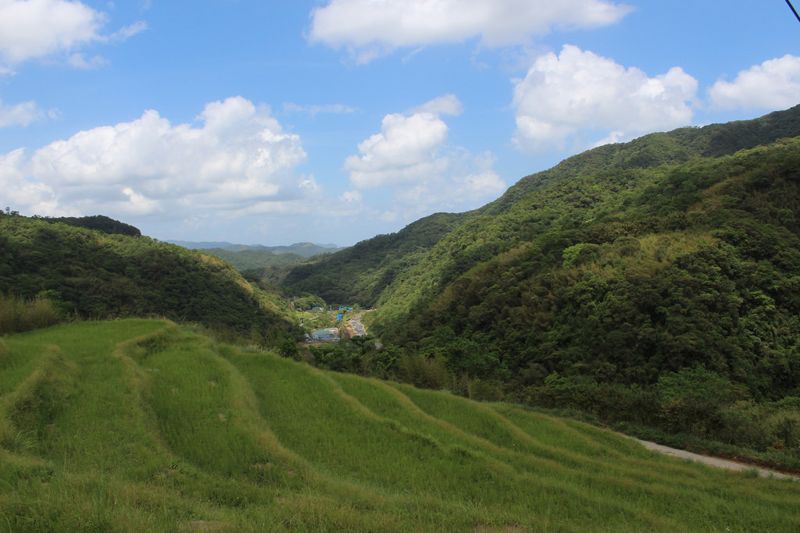 貢寮水梯田會咁水 涵養糧食生物呷飽飽