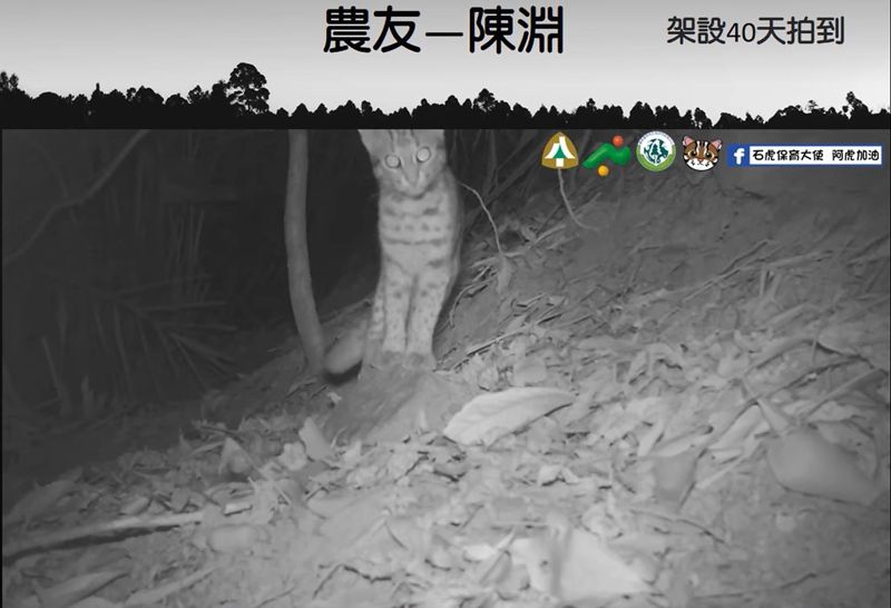 二階友善石虎獎勵 南投28農友、6巡守隊獲獎助