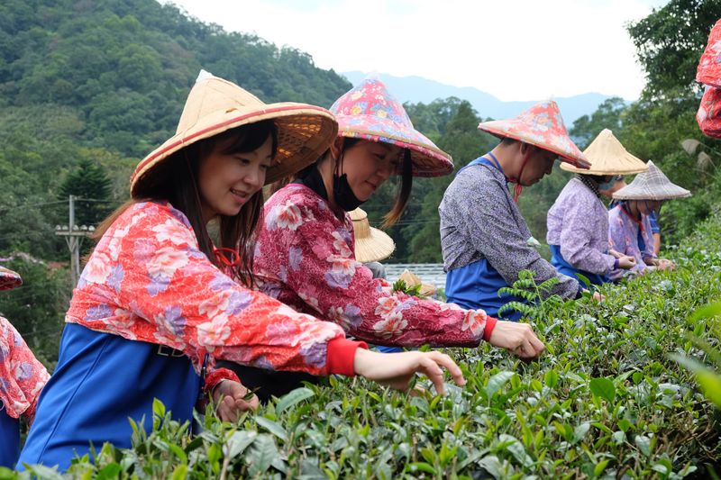 今天不喝酒!酒商愛丁頓支持在地好茶