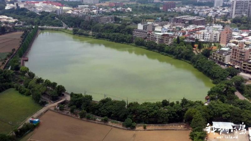 埤塘水 怎麼用？ 生態農場靠植物層層淨化 為桃園存下地底水撲滿