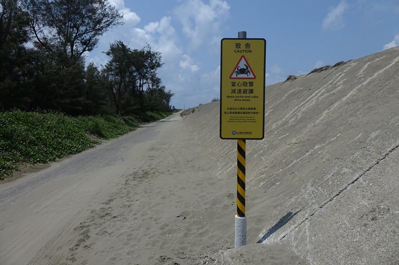 兇狠圓軸蟹繁殖季 台管處與警政署合作護蟹 籲駕駛減速避讓