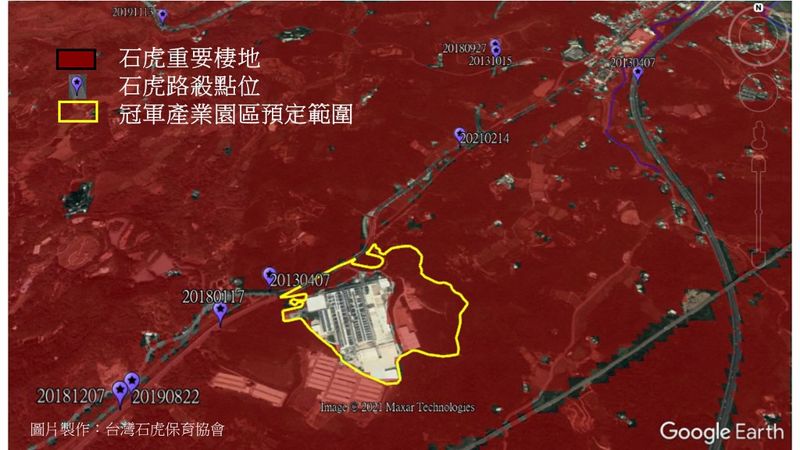 苗栗石虎棲地遭鋼鐵、磁磚廠覬覦開發 立委籲：勿讓售珍貴國有地