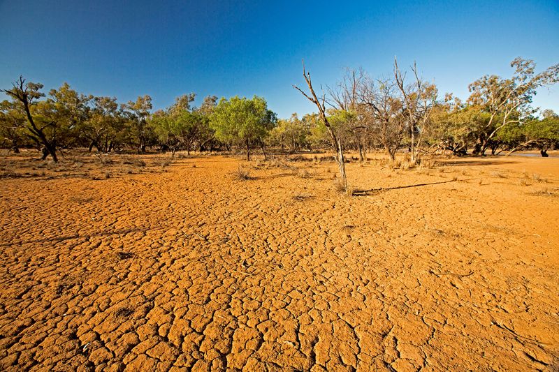 深度解析:非永續土地利用與氣候變遷密切相關