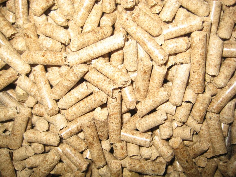 燃木發電算不算再生能源？ 歐盟環團請法院裁示