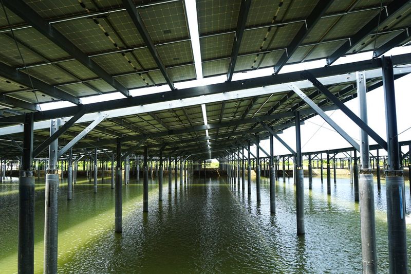 全台最大漁電共生 大亞志光首期商轉 里長盼當良好示範