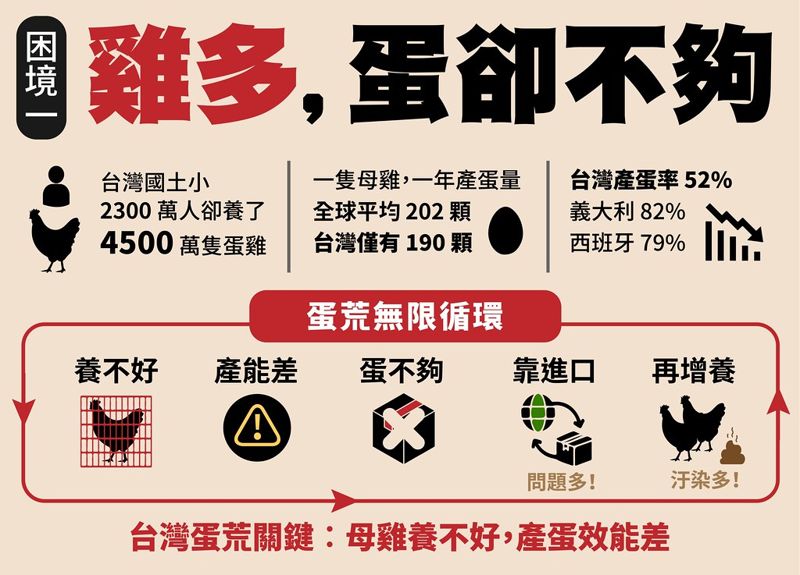 養更多母雞還是不夠！ 動社直指產業四大困境 呼籲早日轉型擺脫格子籠