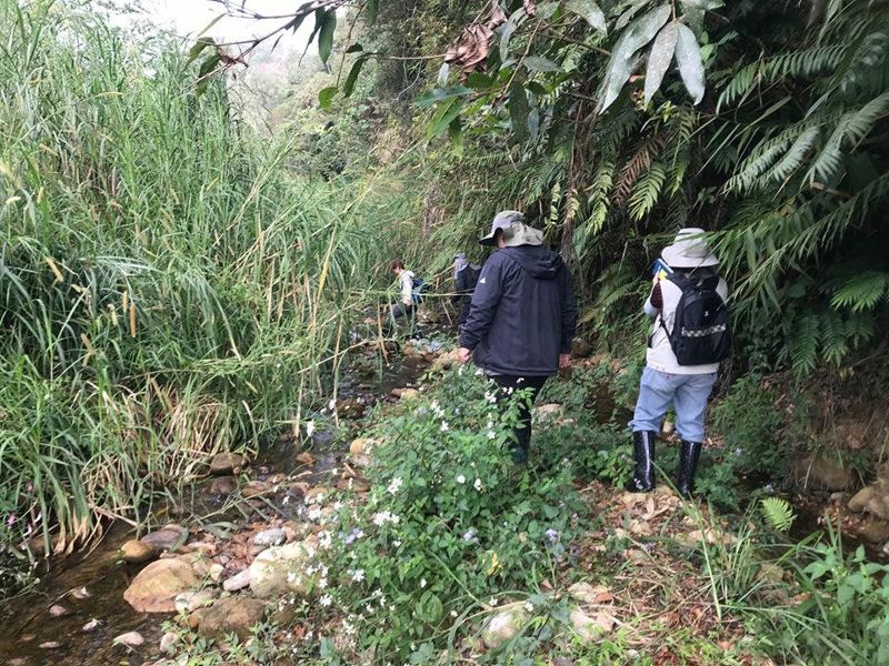 寫在參加台灣白魚調查後 讓水田住客回到共同生活的場域