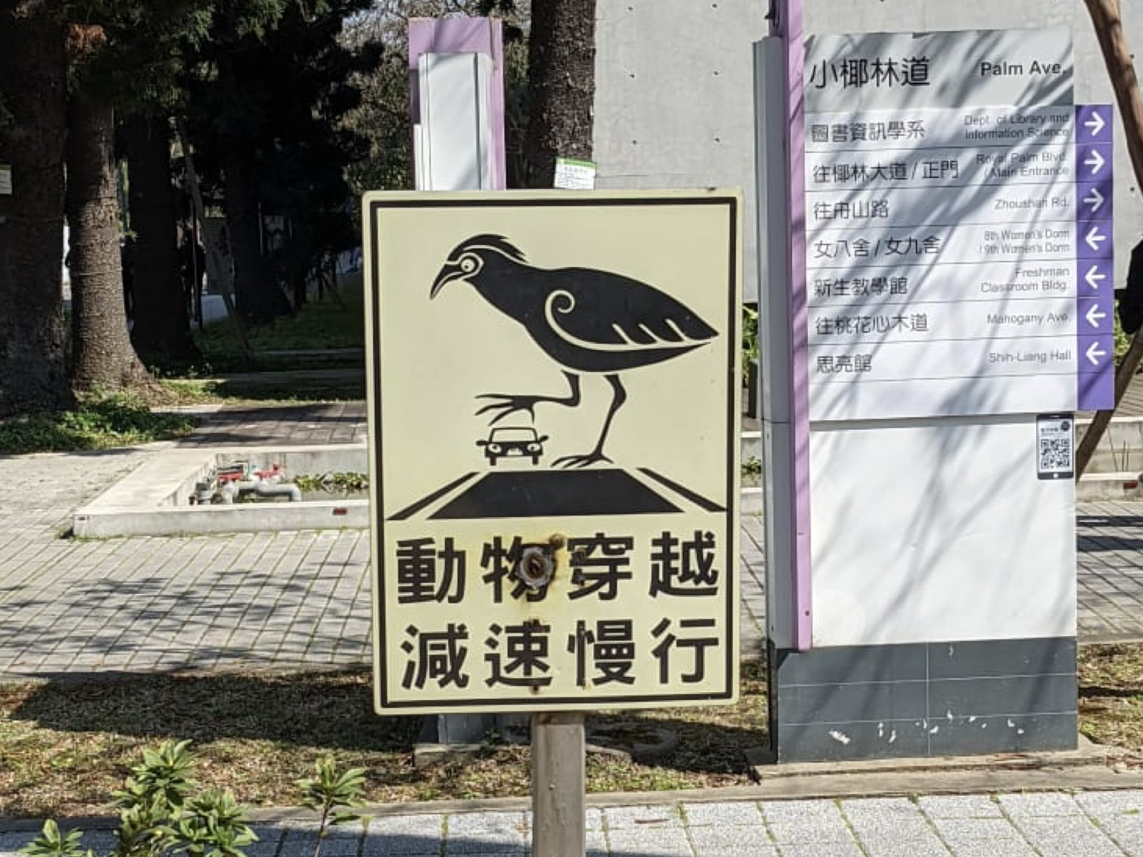 從台大校園的動物穿越減速告示，到動物行為研討會主視覺，江勻楷持續透過圖像串連科學、藝術與環境教育，讓更多人重新認識台灣自然。圖片來源：江勻楷 提供