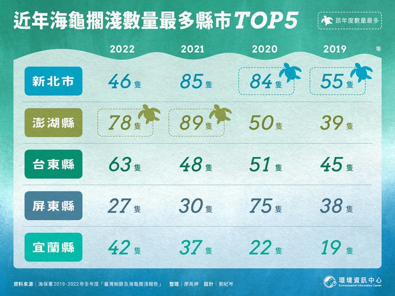 救一隻海龜要多少錢？ 救援難預料醫藥費也有低消
