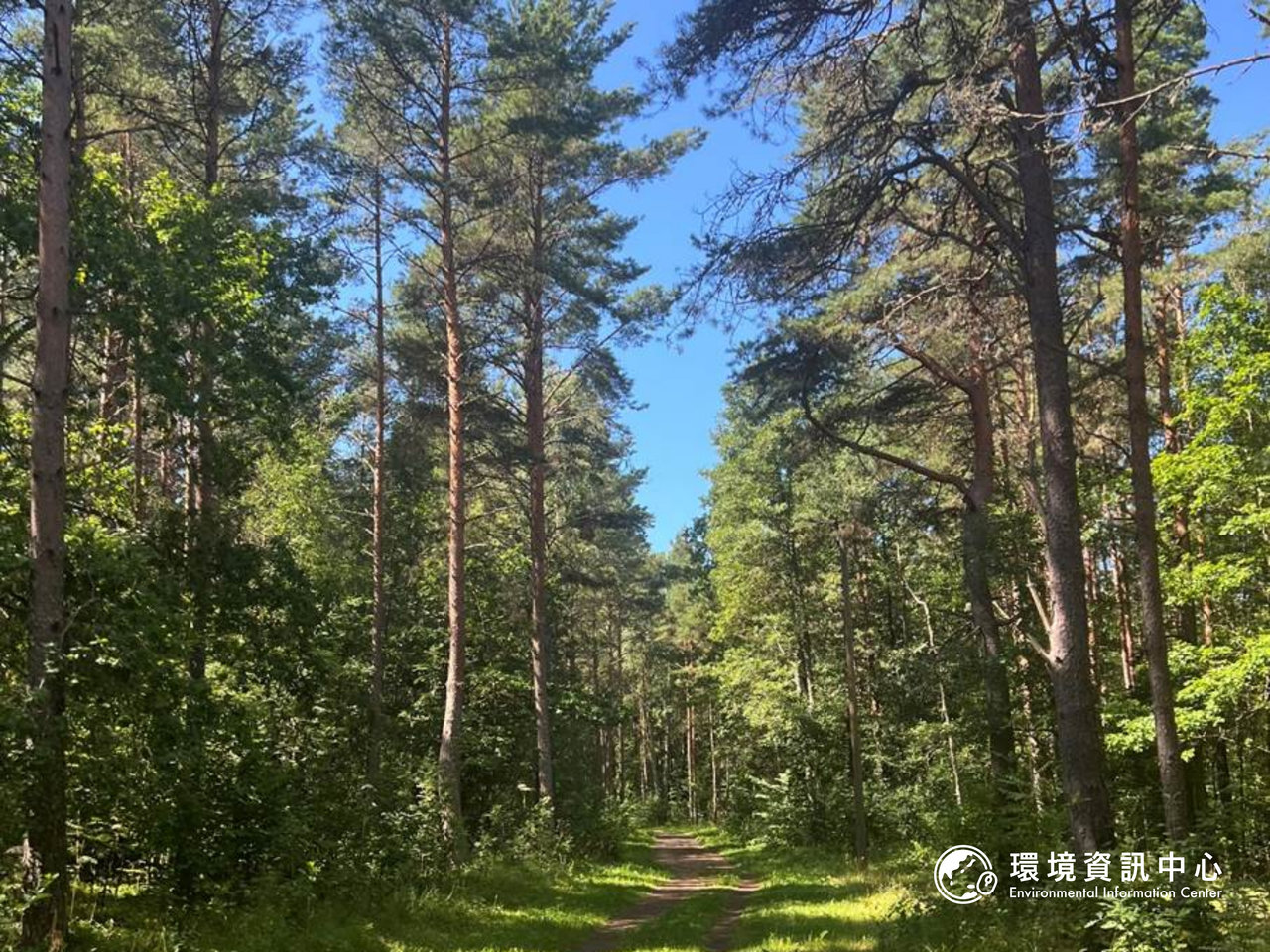 逐年擴大與更頻繁的歐洲森林火災,敲醒歐洲森林管理以及氣候調適政策的警鐘。攝影:趙偉婷