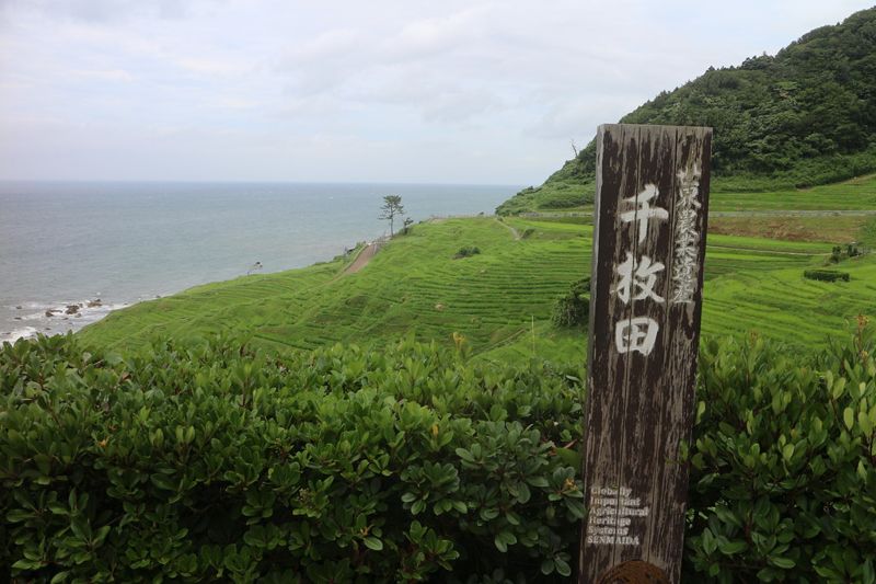 山海不息 日本能登半島傳統與現代相融 再振千年文化