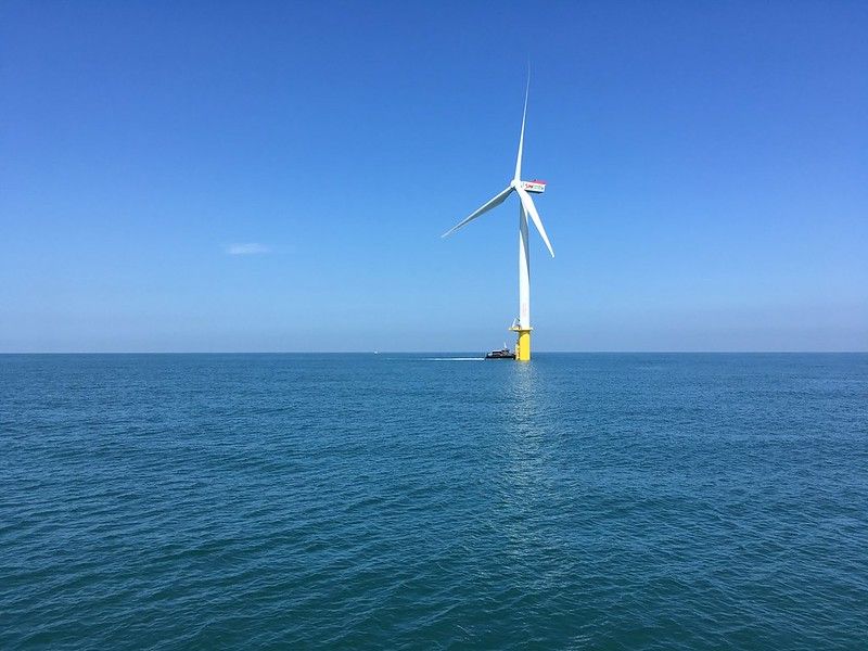 離岸風電搶開工 鯨豚觀察員趕上路的五大誤區