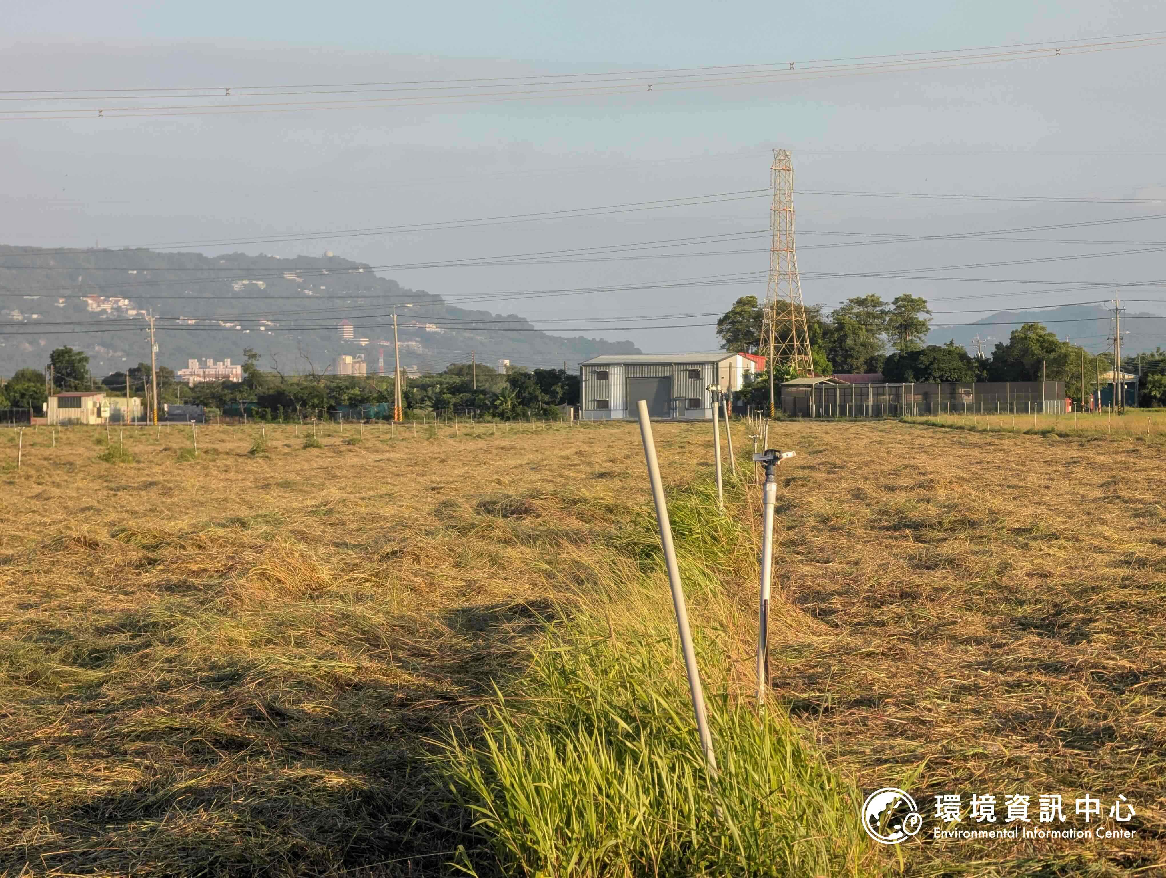 南科沙崙園區開發預定地,南邊的牧草區日前才收割,過去常有民眾在此夜觀草鴞,草鴞覓食後,有時會把灑水器當作棲架在上頭休息。攝影:陳昭宏