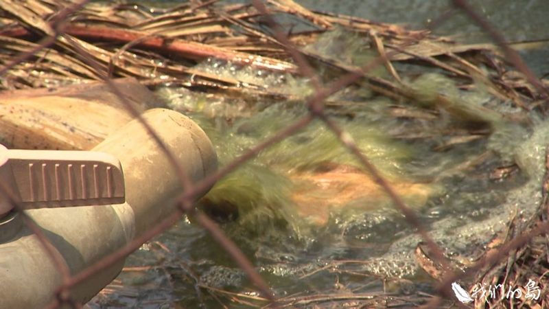 屏東淨水行動 將畜牧糞水變液肥 解決偷排問題