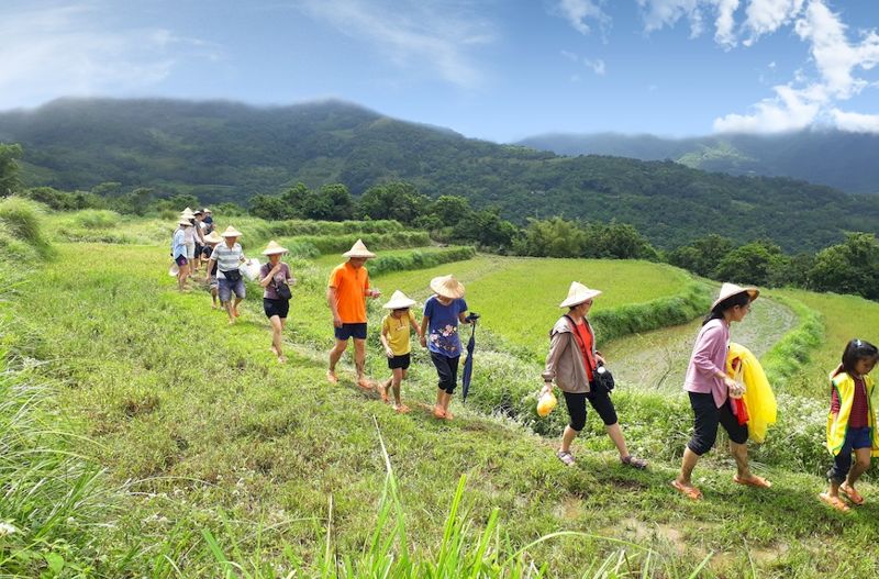 敲響里山倡議的共鳴 友善農業小旅行在貢寮