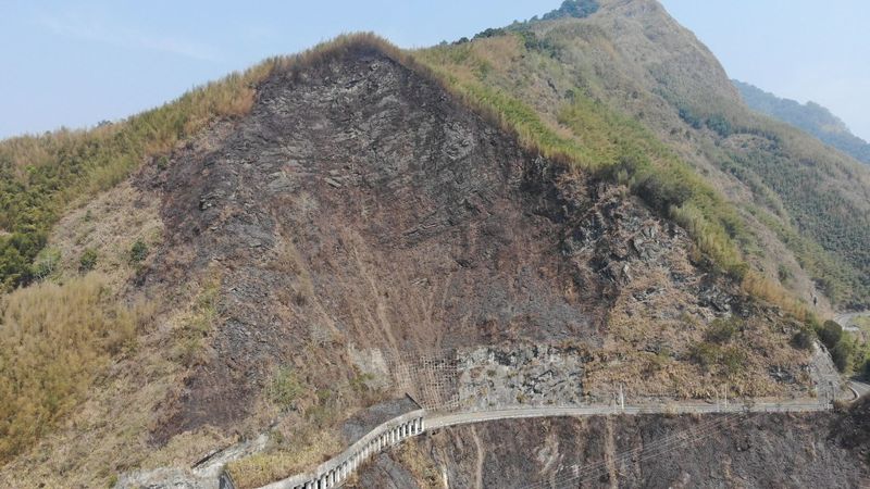 延燒五日 阿里山森林大火終撲滅 幸未損及珍貴林木