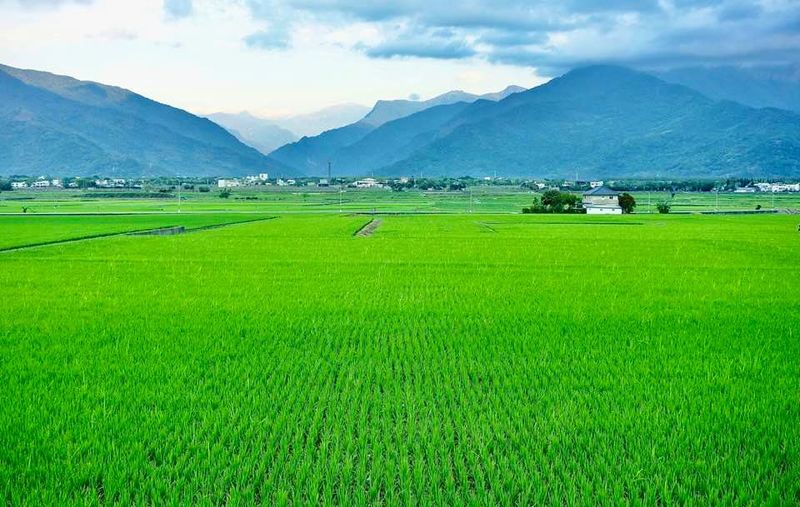96%為環境敏感地 好山好水引人潮 觀光成未來發展課題